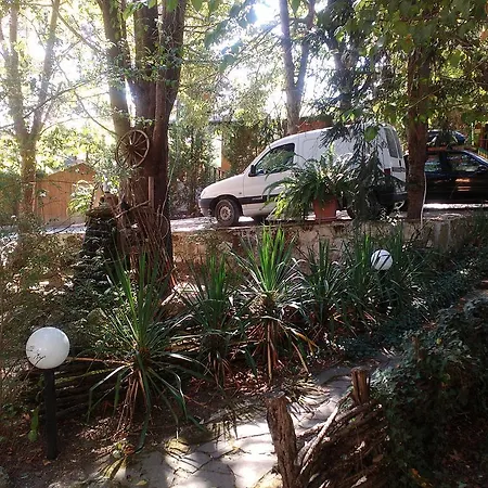 Nimpha Kamchia (Varna)