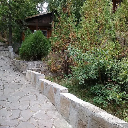 Nimpha Kamchia (Varna)