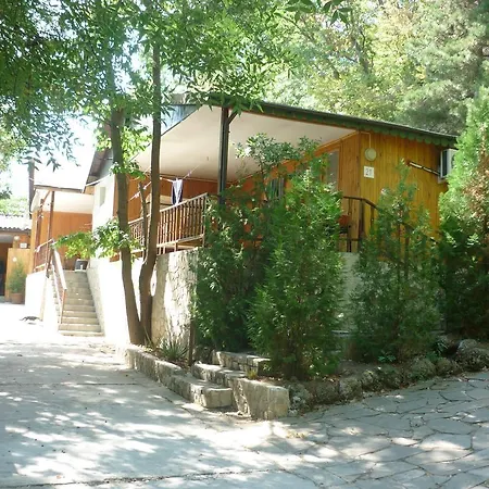 Nimpha *